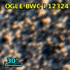 OGLE BWC   I  12324