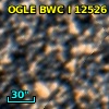 OGLE BWC   I  12526