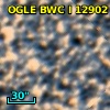 OGLE BWC   I  12902