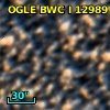 OGLE BWC   I  12989