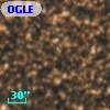 OGLE BWC   I  13113