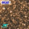 OGLE BWC   I  13171