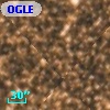 OGLE BWC   I  13303