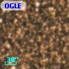 OGLE BWC   I  13504