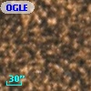 OGLE BWC   I  13607