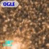OGLE BWC   I  13623