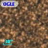 OGLE BWC   I  14002