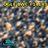 OGLE BWC   I  14183