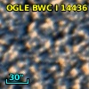 OGLE BWC   I  14436