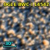 OGLE BWC   I  14542