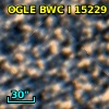 OGLE BWC   I  15229