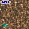 OGLE BWC   I  15535