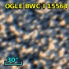 OGLE BWC   I  15564
