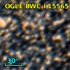 OGLE BWC   I  15565