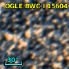 OGLE BWC   I  15604