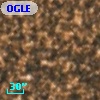 OGLE BWC   I  15813
