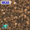 OGLE BWC   I  15973