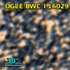 OGLE BWC   I  16029