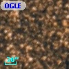 OGLE BWC   I  16123