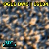 OGLE BWC   I  16134