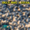 OGLE BWC   I  16164