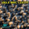 OGLE BWC   I  16177