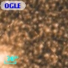 OGLE BWC   I  16262