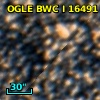 OGLE BWC   I  16491