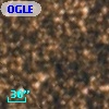 OGLE BWC   I  16607
