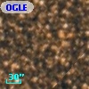 OGLE BWC   I  16751