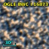 OGLE BWC   I  16873