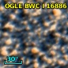 OGLE BWC   I  16886