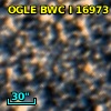 OGLE BWC   I  16973