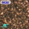 OGLE BWC   I  17305