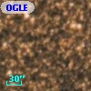 OGLE BWC   I  17398