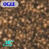 OGLE BWC   I  17506