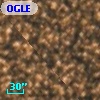 OGLE BWC   I  17685