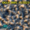 OGLE BWC   I  17823