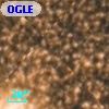 OGLE BWC   I  17887