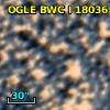 OGLE BWC   I  18036