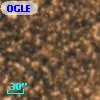OGLE BWC   I  18191