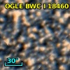 OGLE BWC   I  18460