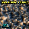 OGLE BWC   I  18480