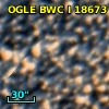 OGLE BWC   I  18673