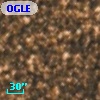 OGLE BWC   I  18731