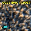 OGLE BWC   I  19017