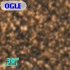 OGLE BWC   I  19049