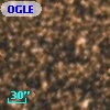 OGLE BWC   I  19083