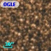 OGLE BWC   I  19449