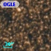 OGLE BWC   I  19599